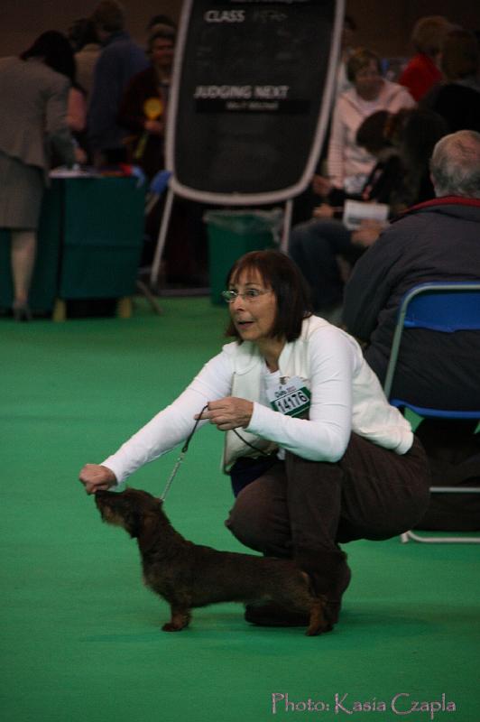 Crufts2011_2 698.jpg